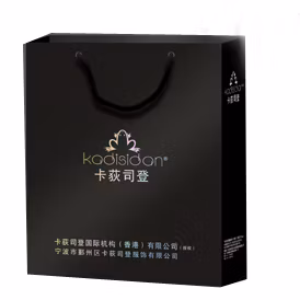 Sac cadeau de luxe Emballage en papier personnalisé Sac à provisions/sac en papier pour vêtements